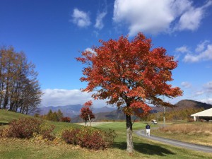 img_4705