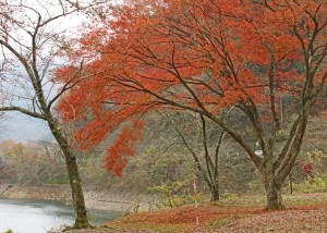 img_0639r